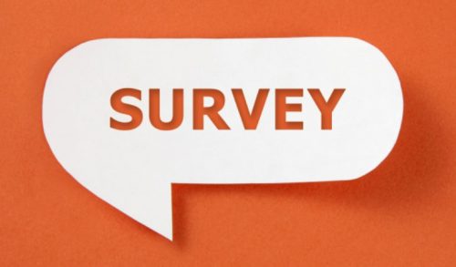 Participate in paid internet surveys