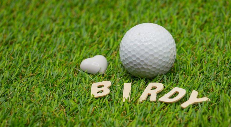 What Is a Birdie in Golf? – Golfing Terms Explained for Everyone what is a birdie in golf