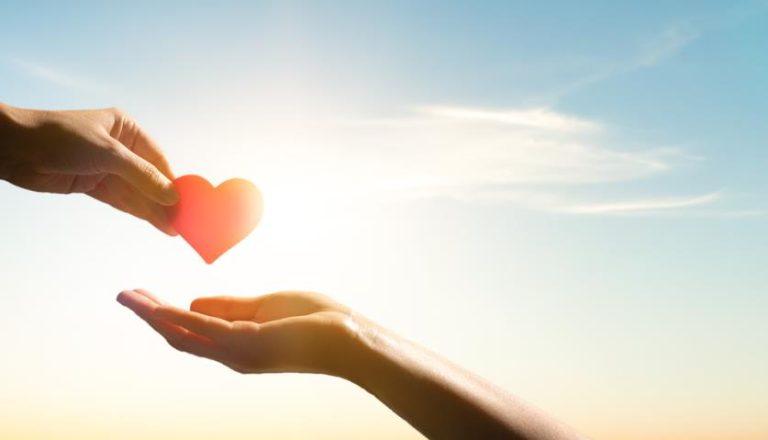 Easy Steps To Setting Up A Charity And Making It Successful