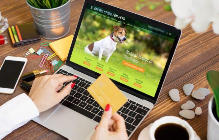 How to Start an Online Pet Store in the UK? – The Digital Pet Shop How to Start an Online Pet Store in the UK? - The Digital Pet Shop