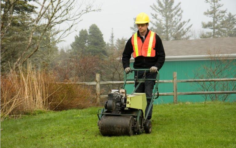 How to Start a Lawn Care Business in the UK? - From Grass to Green