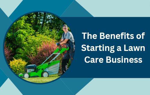 The Benefits of Starting a Lawn Care Business
