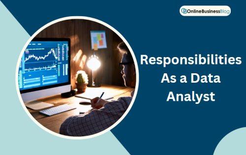 Responsibilities As a Data Analyst
