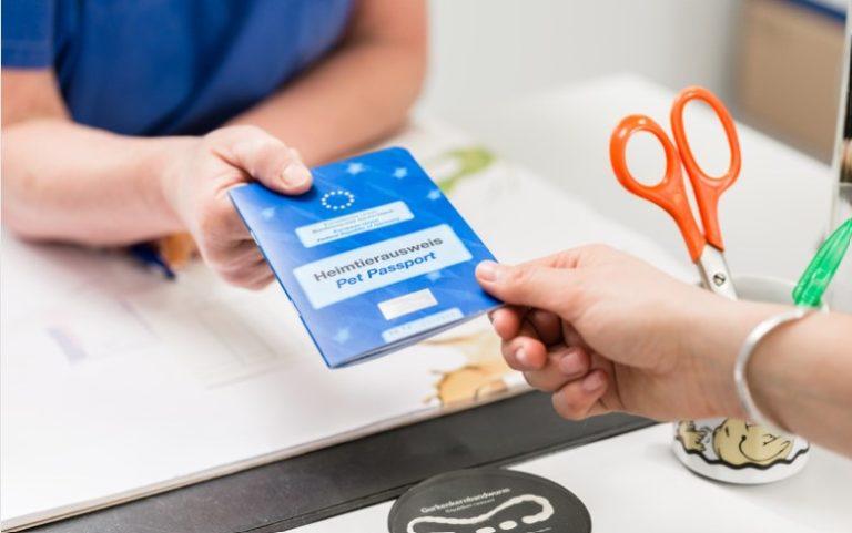 How Much is a Dog Passport in the UK? How Much is a Dog Passport in the UK?