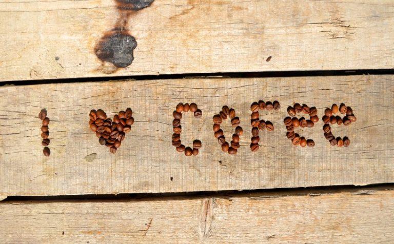 What Do You Need to Open a Coffee Shop? What Do You Need to Open a Coffee Shop