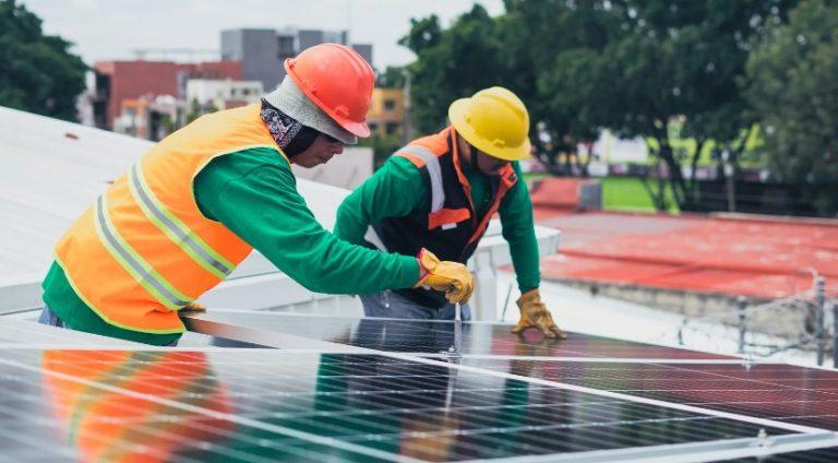 How Much Does It Cost to Pigeon Proofing Solar Panels in UK? How Much Does It Cost to Pigeon Proofing Solar Panels in UK